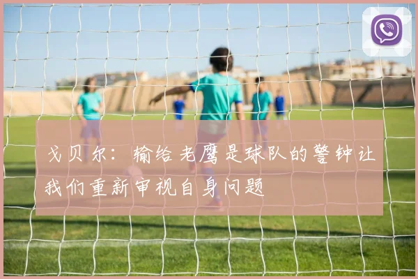 戈贝尔：输给老鹰是球队的警钟让我们重新审视自身问题