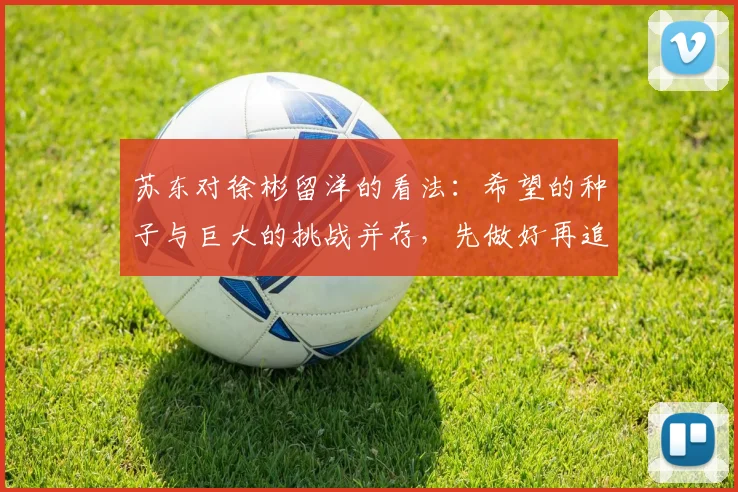 苏东对徐彬留洋的看法：希望的种子与巨大的挑战并存，先做好再追求完美